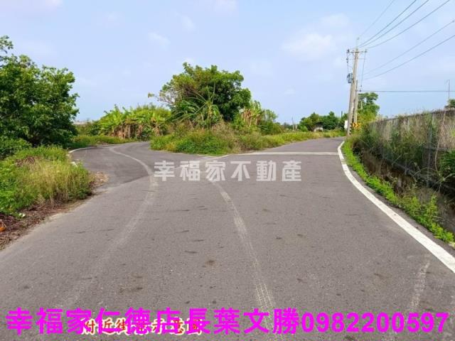 安定農地-6