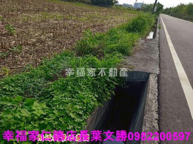 安定農地-8