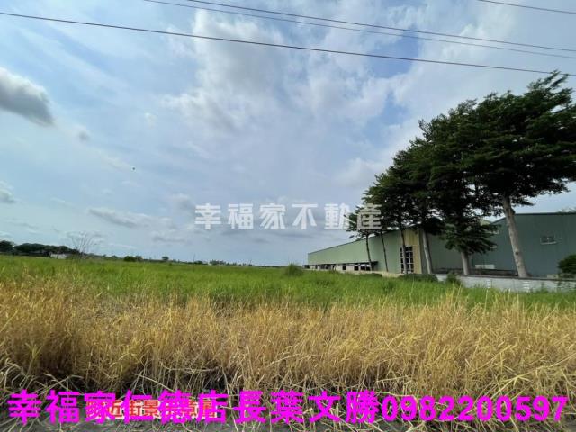台南農地-9