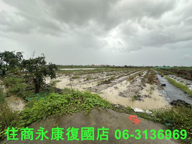 台南鹽水農地-5