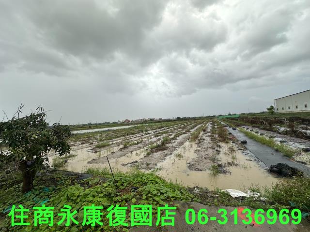 台南鹽水農地-6