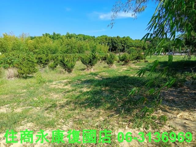 台南歸仁農地-4