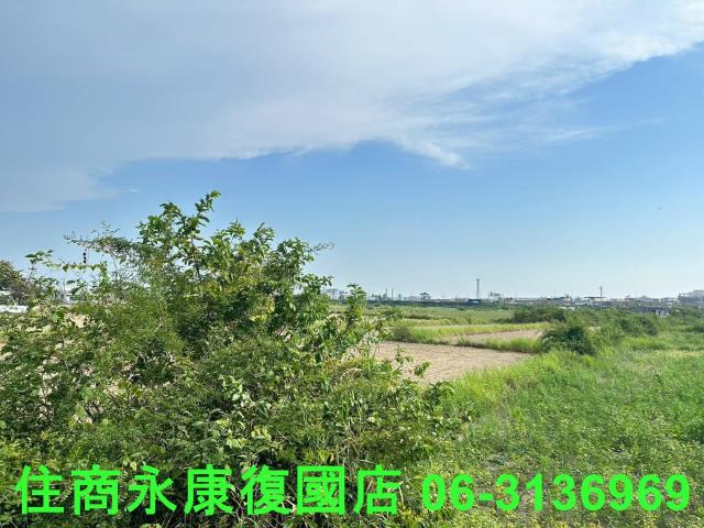 台南仁德農地-2
