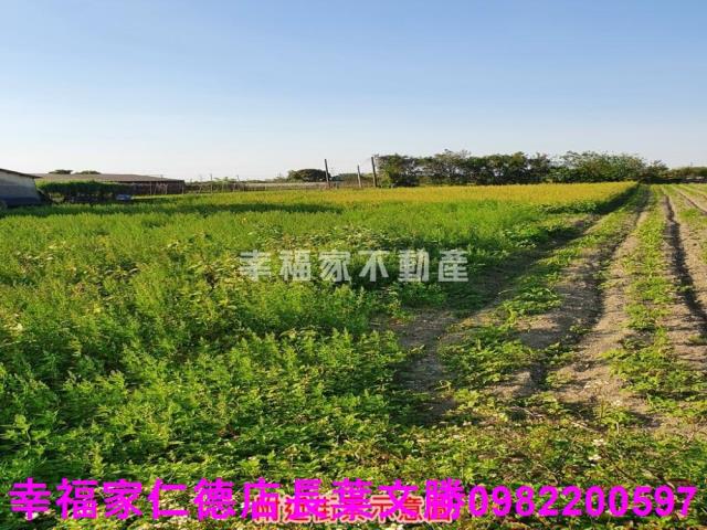 台南善化農地-7