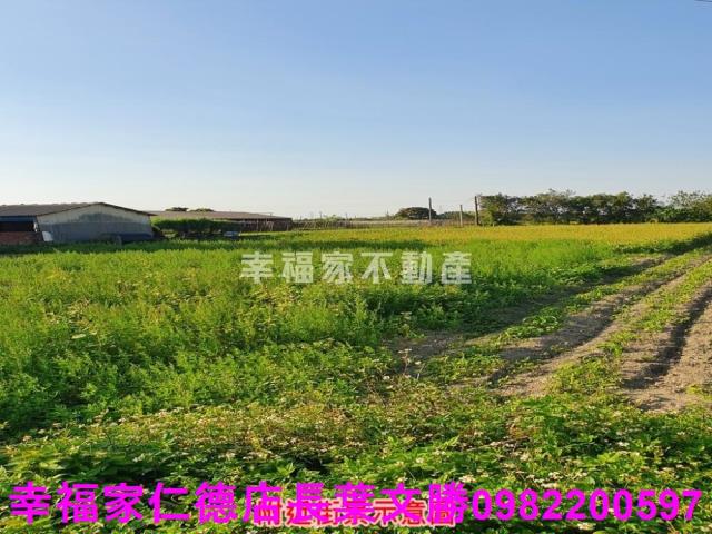 台南善化農地-8