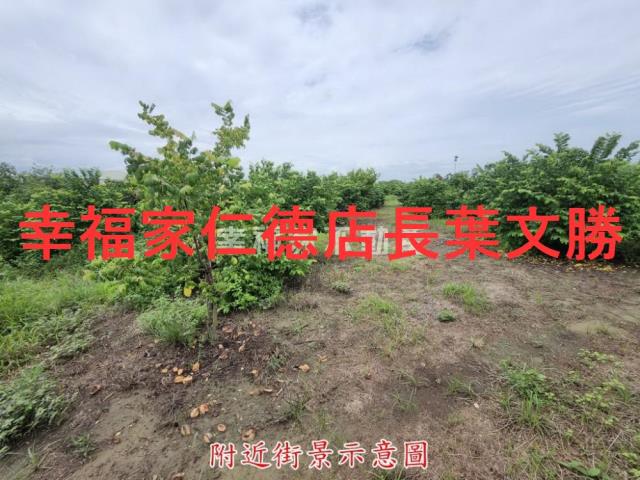 台南山上農地-10