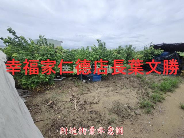 台南山上農地-14