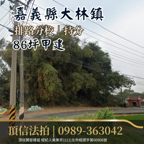 大林法拍建地-1