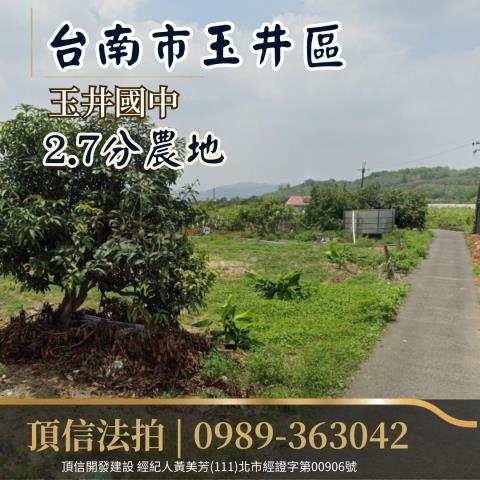 台南農地法拍-2