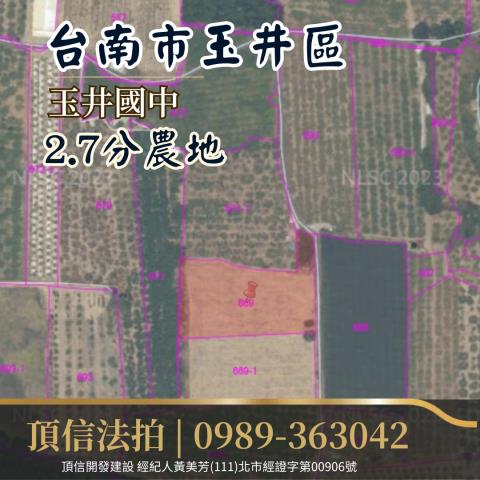 台南農地法拍-3