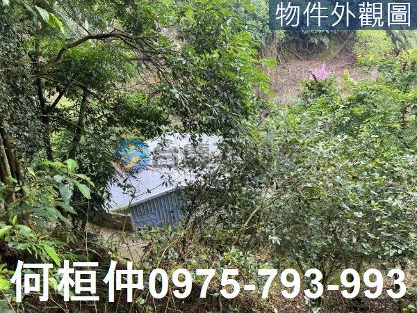 苗栗大湖農地-5