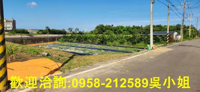 新竹新豐農地-10