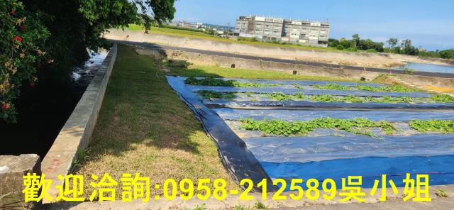 新竹新豐農地-2