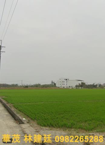 台南東山法拍農地-2