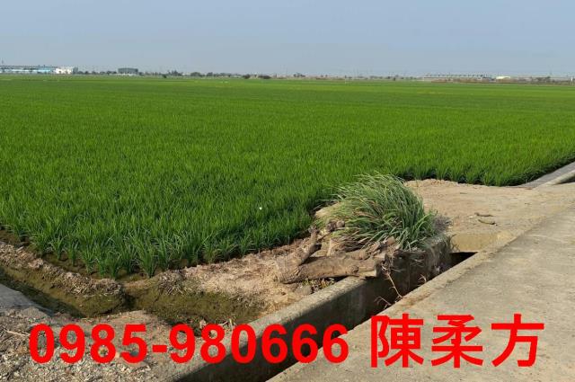 鹿草農地-3