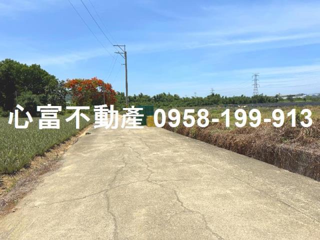 大社農地-1