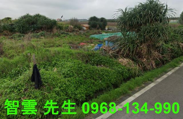 桃園大園農地-1