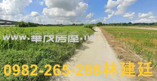 台南農地法拍-2