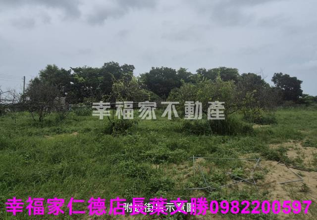 台南農地-9