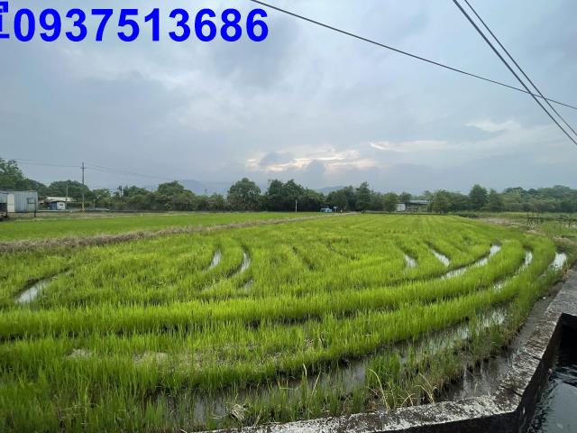宜蘭農地-12