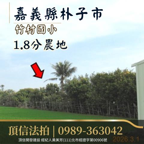 朴子法拍農地-4