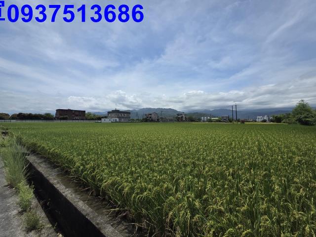 員山農地-14