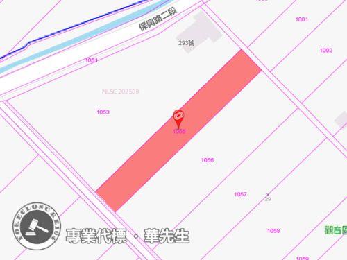 觀音法拍農地-1