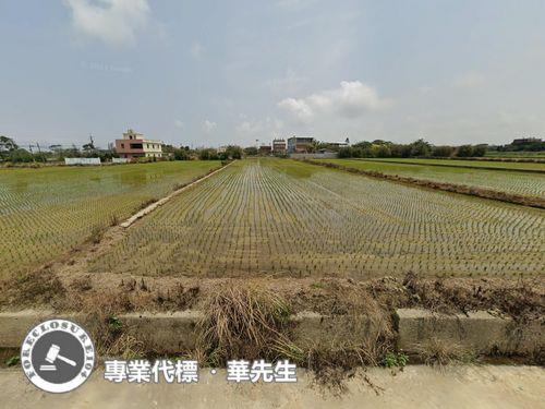 觀音法拍農地-3