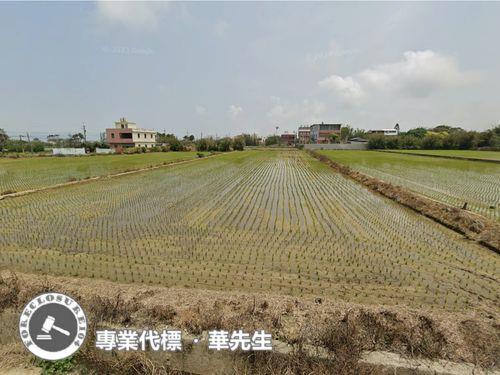 觀音法拍農地-4