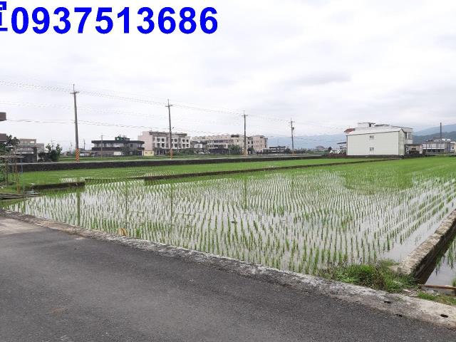 宜蘭礁溪農地-12