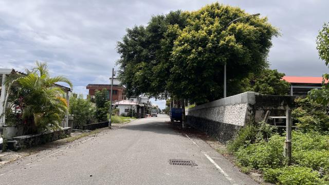 台東建地-1