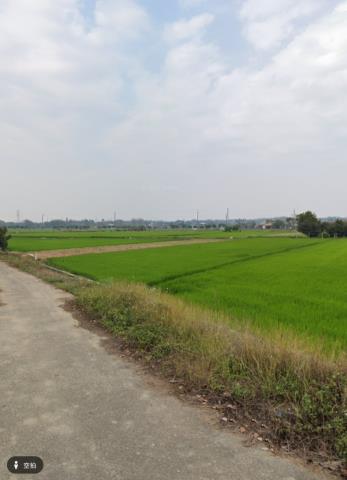 白河農地拍賣-7