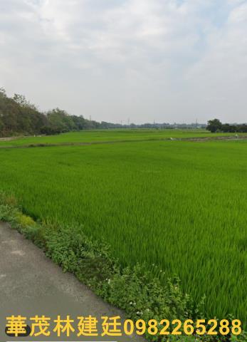 白河農地拍賣-2