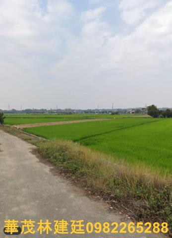 白河農地拍賣-3