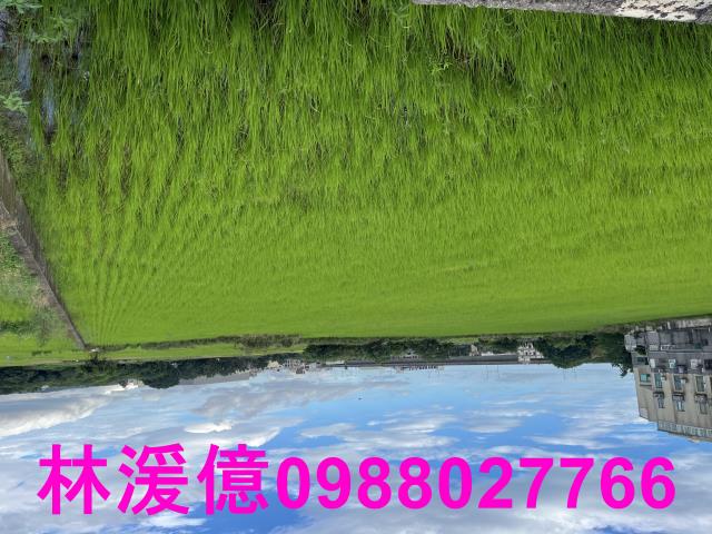 桃園農地-1