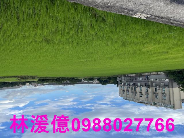 桃園農地-3