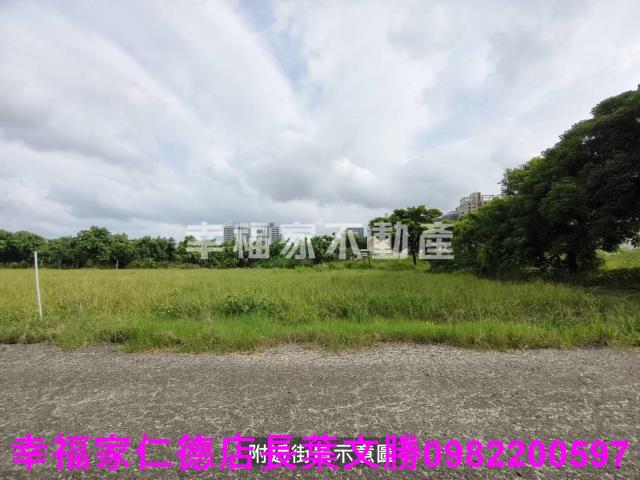 台南善化農地-8