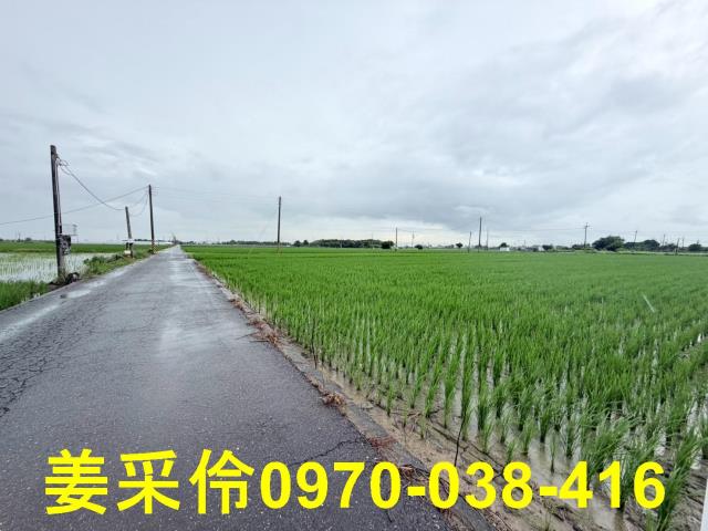 嘉義農地-9