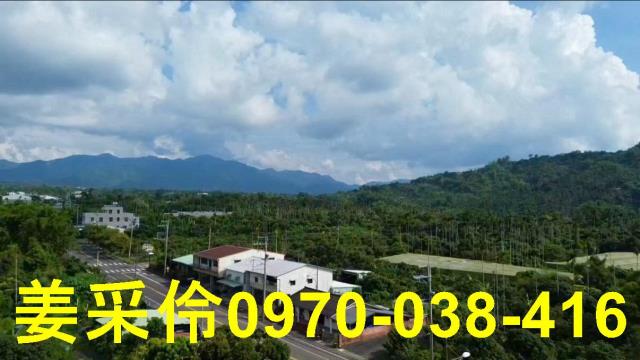 嘉義農地-3