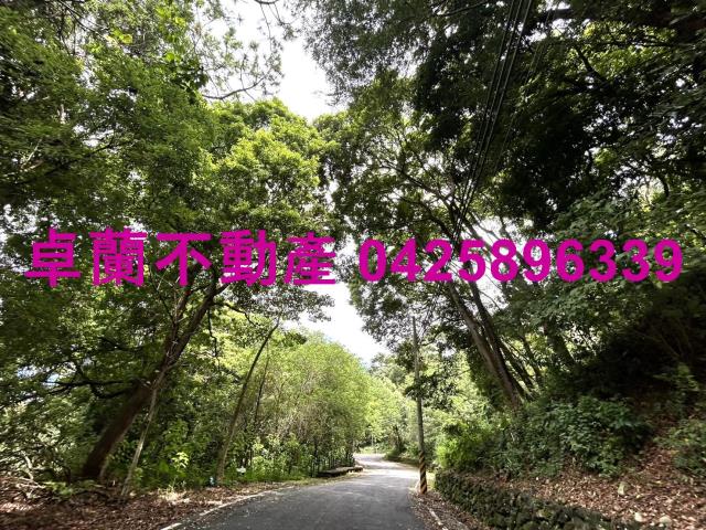 苗栗卓蘭農地-11