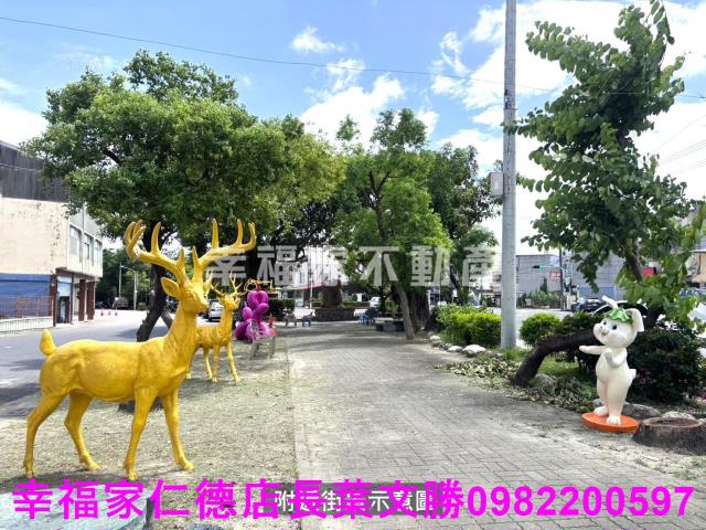 安定農地-9