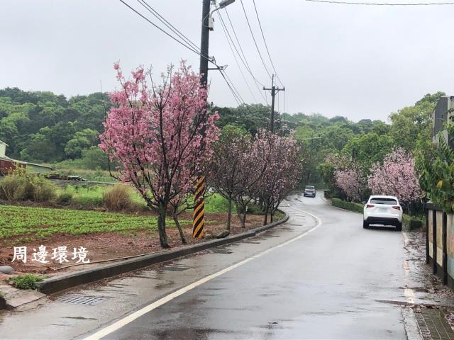 台中建地-6