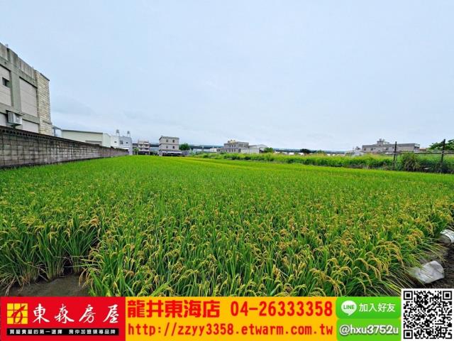 台中大肚農地-4