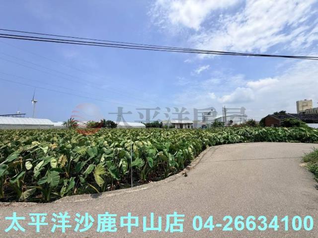 台中大甲農地-10