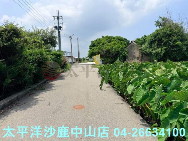 台中大甲農地-6