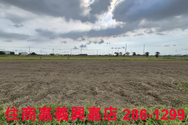 嘉義民雄農地-5