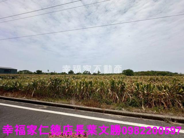 台南安定農地-1