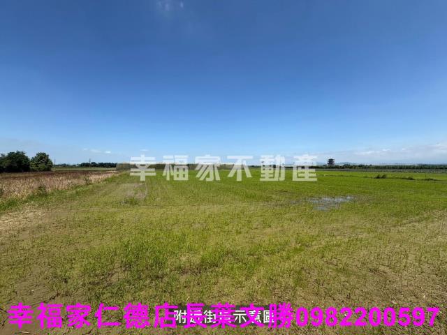 台南新市農地-3