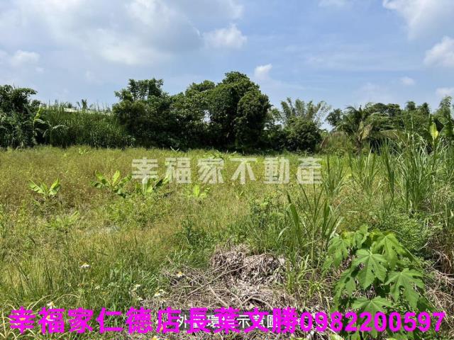 台南農地-1