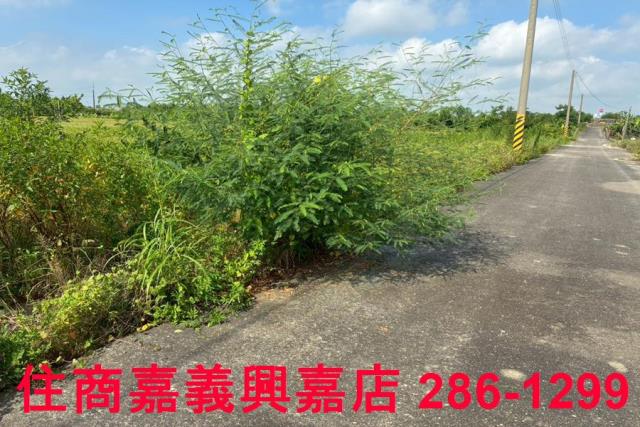 嘉義農地-8
